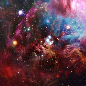 Meet your Posher, Wes